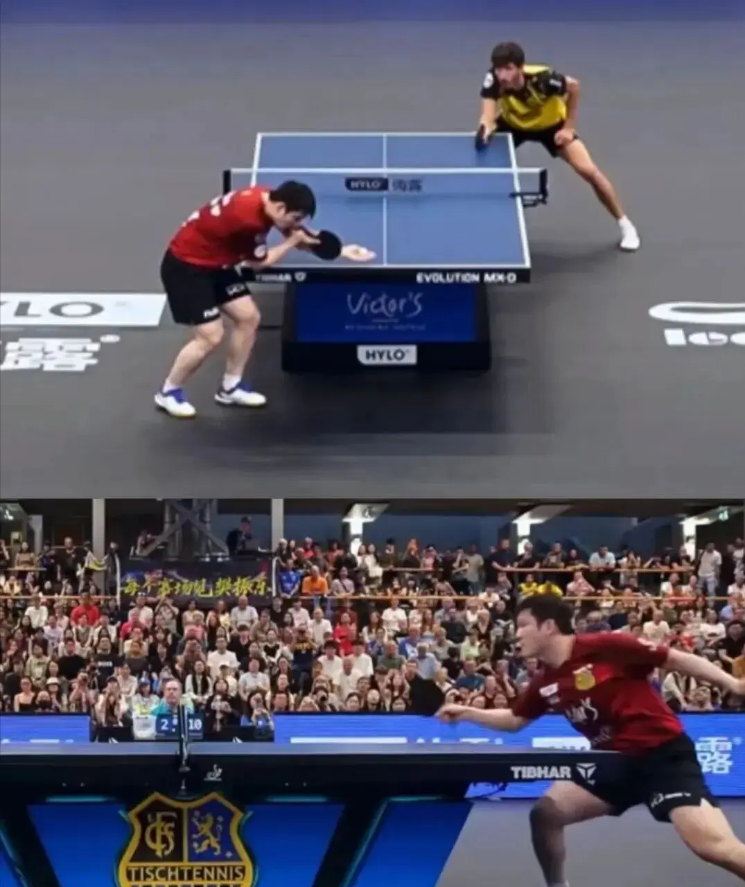 src, 现在就坐等, 樊振东一点 src, 现在就坐等, 樊振东一点